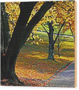 Autumn Colours Wood Print