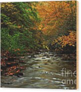 Autumn Creek Wood Print