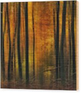 Autumn Falls Wood Print