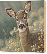 Autumn Fawn-blacktail Wood Print