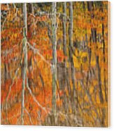 Autumn Forest Reflection Wood Print