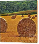 Autumn Hay Bales Wood Print