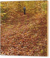 Autumn Hike Wood Print