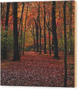 Autumn Iii Wood Print