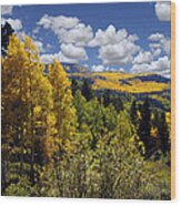 Autumn In New Mexico Wood Print