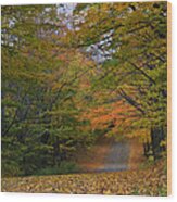 Autumn In The Caledon Hills Wood Print
