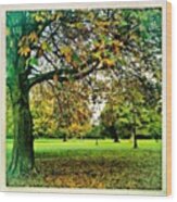 #autumn In The Park. #dublin Wood Print