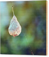 Autumn Leaf Suspended Wood Print