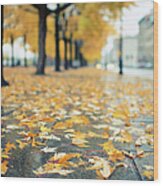 Autumn Leaves Lying On The Street Wood Print