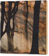 Autumn Light Wood Print