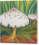 Autumn Mushrooms Wood Print