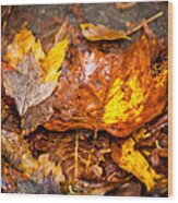 Autumn Pile Wood Print