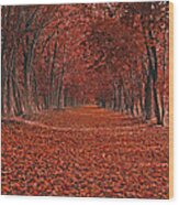 Autumn Wood Print