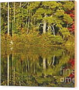 Autumn Reflections Wood Print