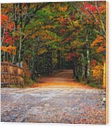 Autumn Road Wood Print