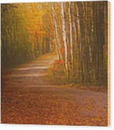 Autumn Roadway Wood Print