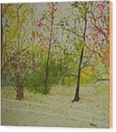 Autumn Scenery Wood Print