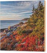 Autumn Shore In Acadia Wood Print