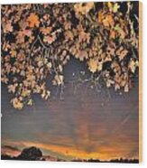 Autumn Sky And Leaves 1 Wood Print