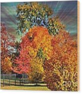 Autumn Splendor Wood Print