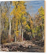 Autumn Stream In Dry Fork Canyon Wood Print