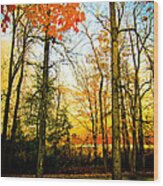 Autumn Sunset Wood Print