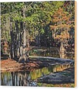 Autumn Swamp Wood Print