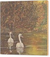 Autumn Swans Left Wood Print