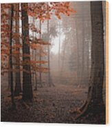 Autumn Wood Print