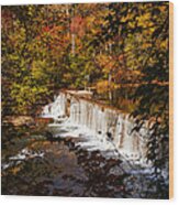 Autumn Trees On Duck River Wood Print