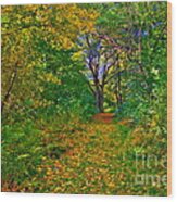 Autumn Woodland Wood Print
