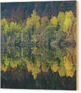 Autumnal Silence Wood Print