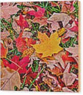 Autumn's Blanket Wood Print