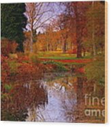 Autumn's Golden Colours Wood Print