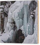 Avalanche Falls In Winter Wood Print