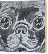 Baby Black Pug Wood Print