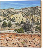 Backroads Utah Panoramic Wood Print