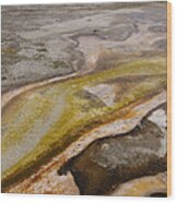 Bacterial Mats In Yellowstone Np Wood Print