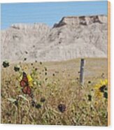 Badlands Butterfly Wood Print