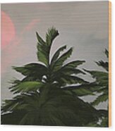 Sun Tropical Palm Breeze Wood Print