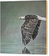 Bald Eagle In Mist Wood Print