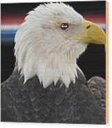 Bald Eagle Wood Print