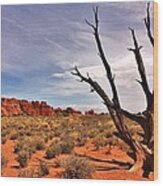 Bald Tree At Arches Wood Print