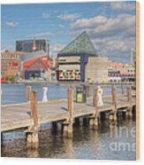 Baltimore Inner Harbor Skyline Iii Wood Print