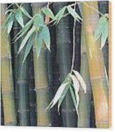 Bamboo Crowd Wood Print