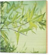Bamboo In The Sun Wood Print