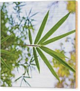 Bamboo Leaves Wood Print