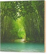 Bamboo Path To  Blue Lagoon Wood Print