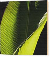 Banana Leaf Wood Print