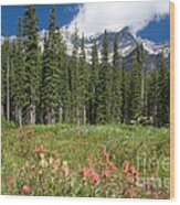 Banff Wildflowers Wood Print